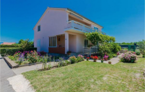 Awesome Apartment In Privlaka With House Sea View